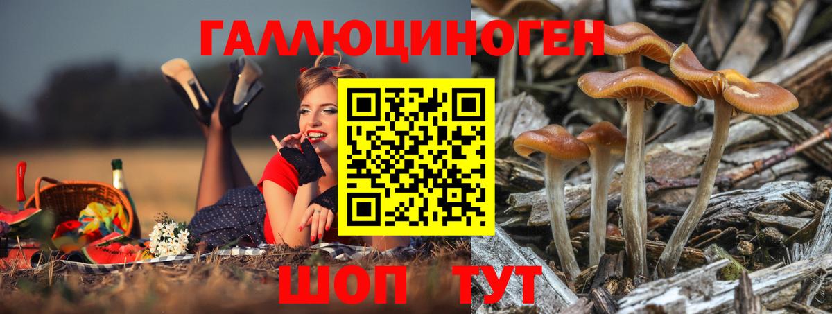 Псилоцибиновые грибы мицелий Заволжье